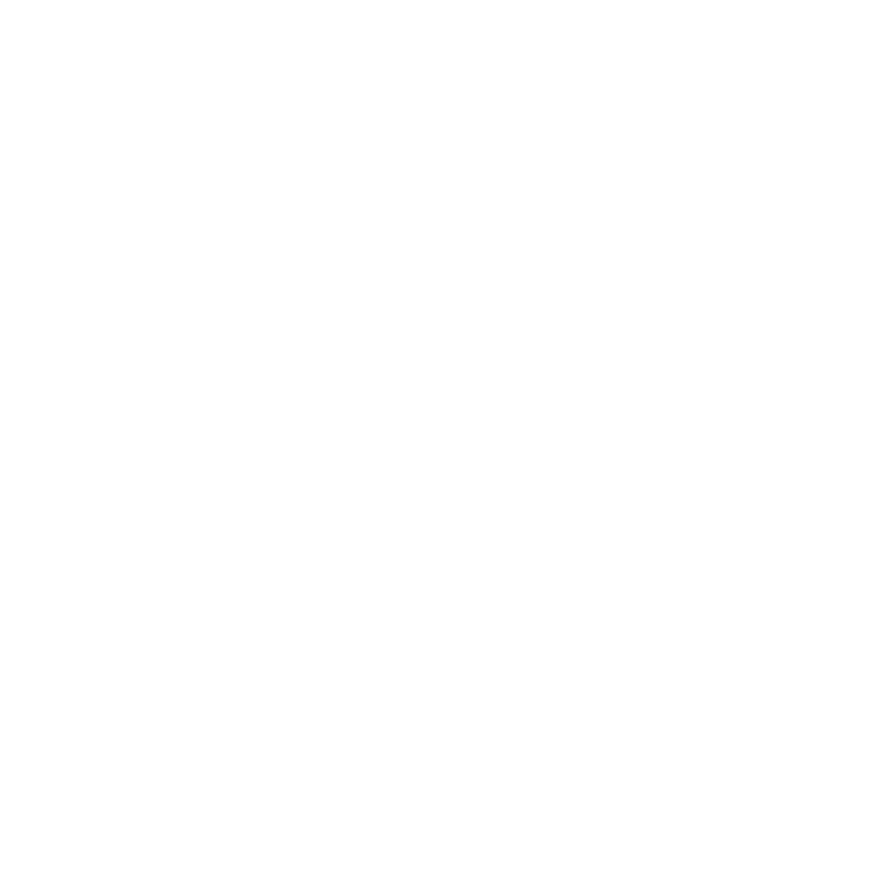 logo-caname